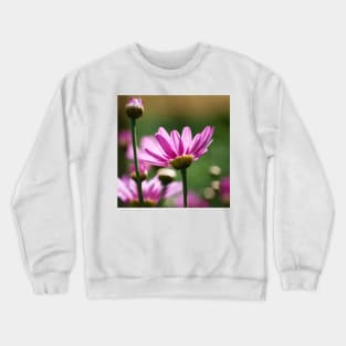 Paris Daisy Crewneck Sweatshirt